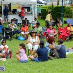 Bermuda Heroes Weekend Pan In The Park Event, June 17 2018-3907