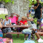Bermuda Heroes Weekend Pan In The Park Event, June 17 2018-3913