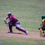 Cricket Bermuda June 13 2018 (11)