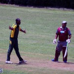Cricket Bermuda June 13 2018 (8)