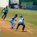 Cricket Bermuda June 3 2018 (19)