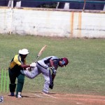 cricket Bermuda June 27 2018 (11)