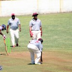 cricket Bermuda June 27 2018 (8)