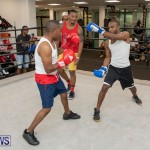 Aries Sports Center celebrity boxing for charity Bermuda, July 28 2018-9357