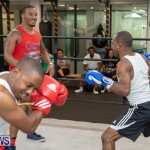 Aries Sports Center celebrity boxing for charity Bermuda, July 28 2018-9368