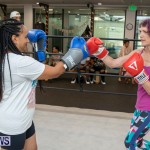 Aries Sports Center celebrity boxing for charity Bermuda, July 28 2018-9397