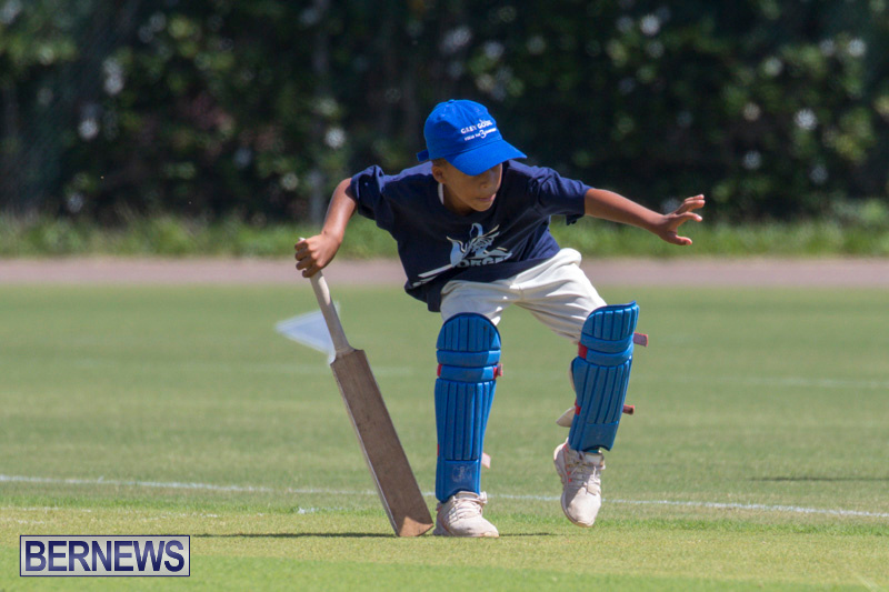 Department-of-Youth-and-Sport-Annual-Mini-Cup-Match-Bermuda-July-26-2018-8446