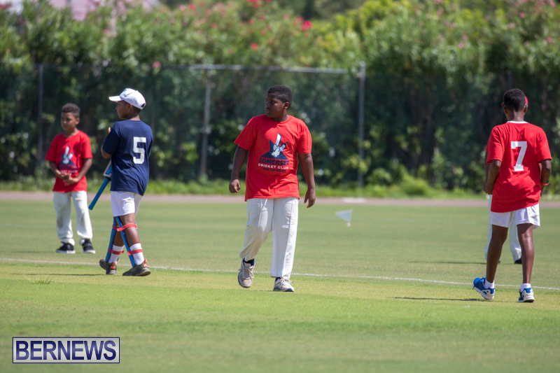 Department-of-Youth-and-Sport-Annual-Mini-Cup-Match-Bermuda-July-26-2018-8479