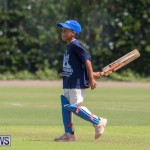 Department of Youth and Sport Annual Mini Cup Match Bermuda, July 26 2018-8481