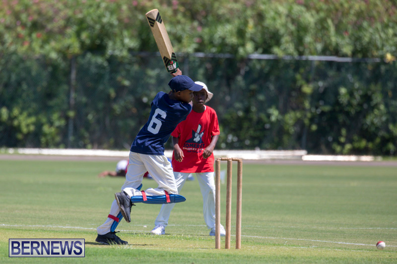 Department-of-Youth-and-Sport-Annual-Mini-Cup-Match-Bermuda-July-26-2018-8726