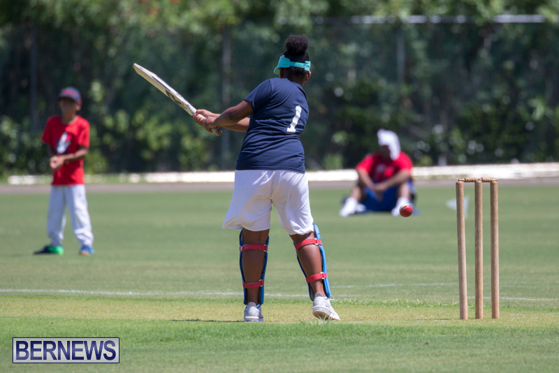 Department-of-Youth-and-Sport-Annual-Mini-Cup-Match-Bermuda-July-26-2018-9000