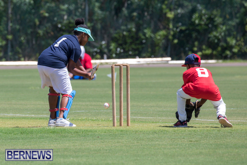 Department-of-Youth-and-Sport-Annual-Mini-Cup-Match-Bermuda-July-26-2018-9082