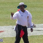 Cup Match Day 2 Bermuda, August 3 2018-2565