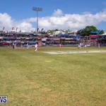 Cup Match Day 2 Bermuda, August 3 2018-2789