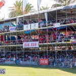 Cup Match Day 2 Bermuda, August 3 2018-2826