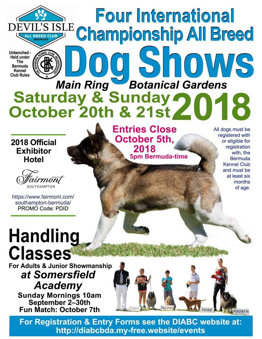 upcoming dog shows