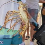 Lobster Tournament Makin Waves Goslings Bermuda, September 2 2018-3835