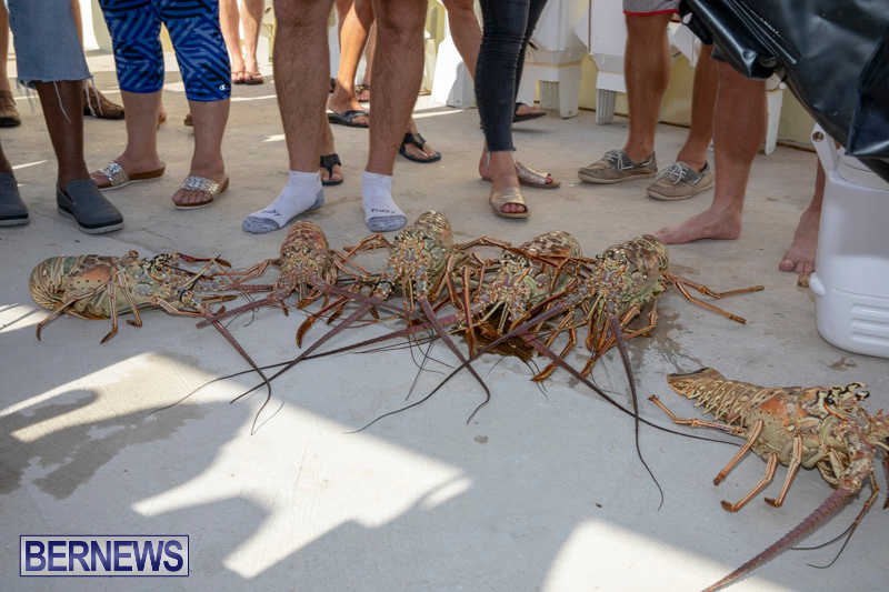 Lobster-Tournament-Makin-Waves-Goslings-Bermuda-September-2-2018-3837