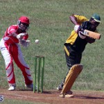 cricket Bermuda Sept 12 2018 (15)