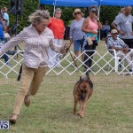 Devil's Isle All Breed Club's Bermuda International Championship Dog Show, October 20 2018-8281