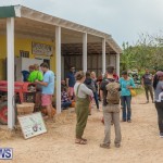 Wadsons Farms Pumpkin Picking Event Bermuda, October 20 2018 (12)
