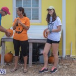 Wadsons Farms Pumpkin Picking Event Bermuda, October 20 2018 (2)