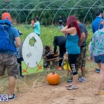 Wadsons Farms Pumpkin Picking Event Bermuda, October 20 2018 (24)