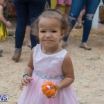 Wadsons Farms Pumpkin Picking Event Bermuda, October 20 2018 (34)