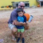 Wadsons Farms Pumpkin Picking Event Bermuda, October 20 2018 (6)
