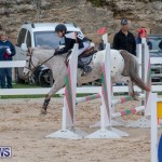 Bermuda Equestrian Federation Jumper Show, November 24 2018-0013