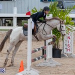 Bermuda Equestrian Federation Jumper Show, November 24 2018-0016