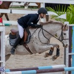Bermuda Equestrian Federation Jumper Show, November 24 2018-0021