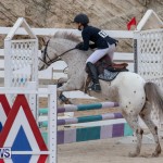 Bermuda Equestrian Federation Jumper Show, November 24 2018-0025