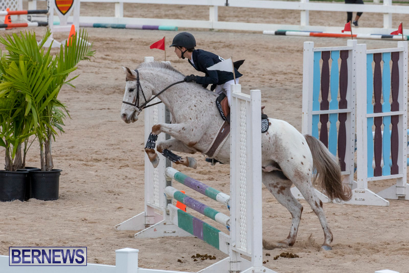 Bermuda-Equestrian-Federation-Jumper-Show-November-24-2018-0038