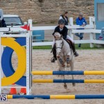 Bermuda Equestrian Federation Jumper Show, November 24 2018-0042