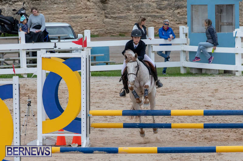Bermuda-Equestrian-Federation-Jumper-Show-November-24-2018-0042