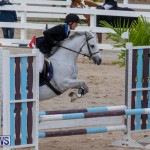 Bermuda Equestrian Federation Jumper Show, November 24 2018-0080
