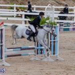 Bermuda Equestrian Federation Jumper Show, November 24 2018-0082