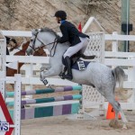 Bermuda Equestrian Federation Jumper Show, November 24 2018-0086