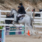 Bermuda Equestrian Federation Jumper Show, November 24 2018-0089