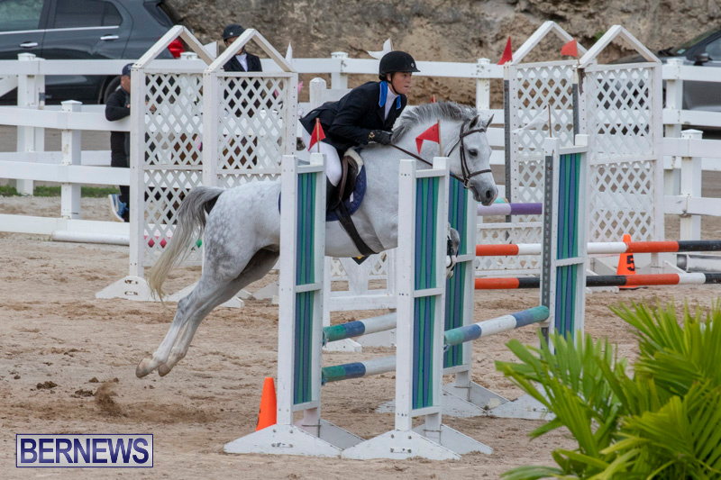 Bermuda-Equestrian-Federation-Jumper-Show-November-24-2018-0096