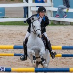 Bermuda Equestrian Federation Jumper Show, November 24 2018-0113