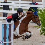 Bermuda Equestrian Federation Jumper Show, November 24 2018-0163