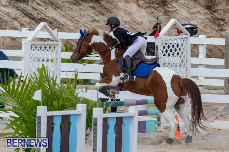 Bermuda-Equestrian-Federation-Jumper-Show-November-24-2018-0171