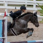Bermuda Equestrian Federation Jumper Show, November 24 2018-0240