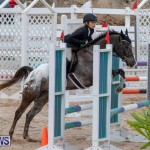 Bermuda Equestrian Federation Jumper Show, November 24 2018-0261