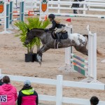 Bermuda Equestrian Federation Jumper Show, November 24 2018-0268