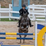 Bermuda Equestrian Federation Jumper Show, November 24 2018-0273