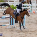 Bermuda Equestrian Federation Jumper Show, November 24 2018-9859