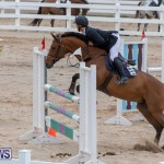Bermuda Equestrian Federation Jumper Show, November 24 2018-9876